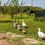 Alojamento de Turismo Rural Il Pollino
