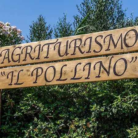 Il Pollino غروسيتو