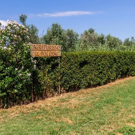 Il Pollino *