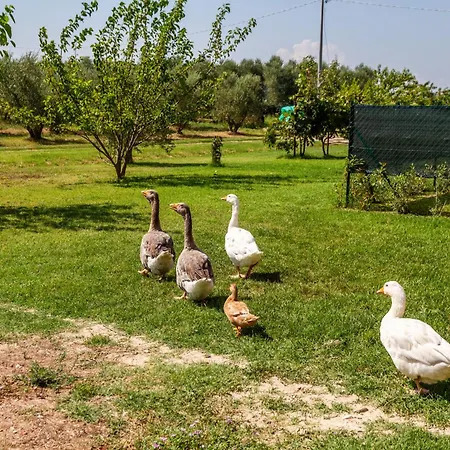 مزرعة للإقامة Il Pollino *
