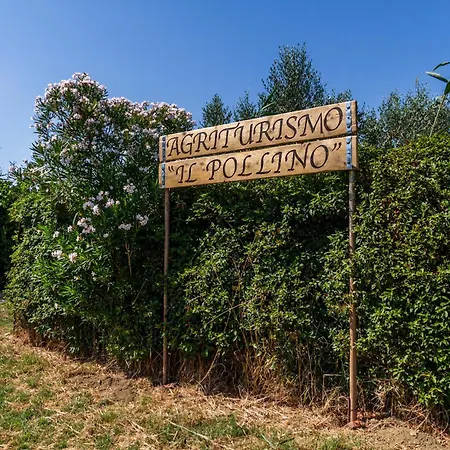 Il Pollino * غروسيتو